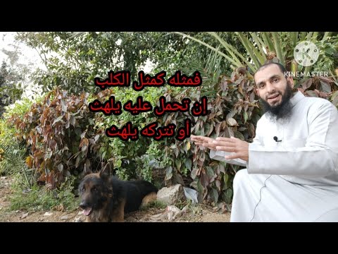تفسير قوله تعالى فمثله كمثل الكلب إن تحمل عليه يلهث أو تتركه يلهث