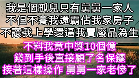 我是個孤兒只有舅舅一家人不但不養我還霸佔我家房子不讓我上學還逼我賣廢品為生#心書時光 #為人處事 不料我竟中獎10個億錢到手後直接顧了名保鑣 舅舅一家老慘了 #生活經驗 #情感故事 #唯美頻道 #爽文 - 天天要聞