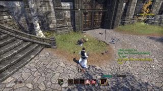 ESO - New 6 mil target dummy