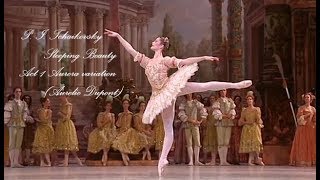 Sleeping Beauty - Act 1 Aurora's Variation (Dupont)