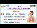 Ch:9 - Q.6) Which statement is correct? a) We inhale air b) We inhale O2 c) We inhale air rich in O2