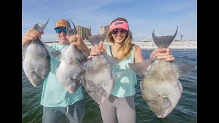 Epic Florida Saltwater Fishing for Triggerfish & Snapper Offshore - Catch and Cook