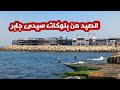 الصيد من بلوكات سيدى جابر بالإسكندرية الصيد من بلوكات سيدى جابر بالإسكندرية