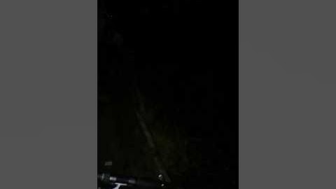 CÂU CÁ TRA - HỒ CÂU AO SEN