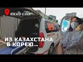 Из Казахстана в Корею ВО ВРЕМЯ ПАНДЕМИИ! Домой на машине СКОРОЙ ПОМОЩИ. Карантин в корее. VLOG