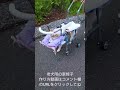 【老犬介護】老犬専用車椅子