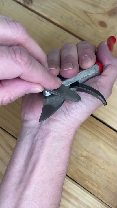 How to give your secateurs a quick clean - Felco Resin Remover 