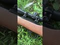 Ruger 10/22
