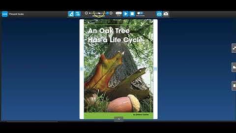 Benchmark Login Instructions