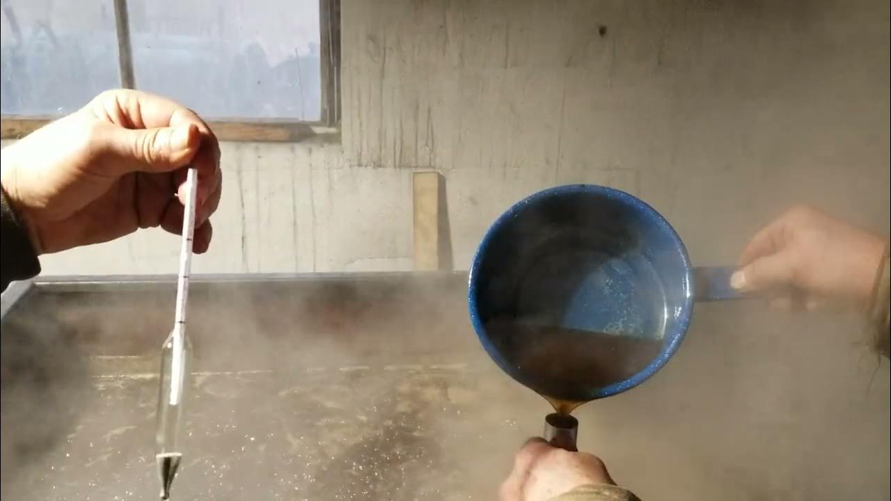 Maple syrup brix test YouTube