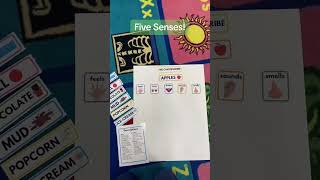 Explore the 5 senses with my new resource! Designed for preschoolers, this hands-on tool helps kids
