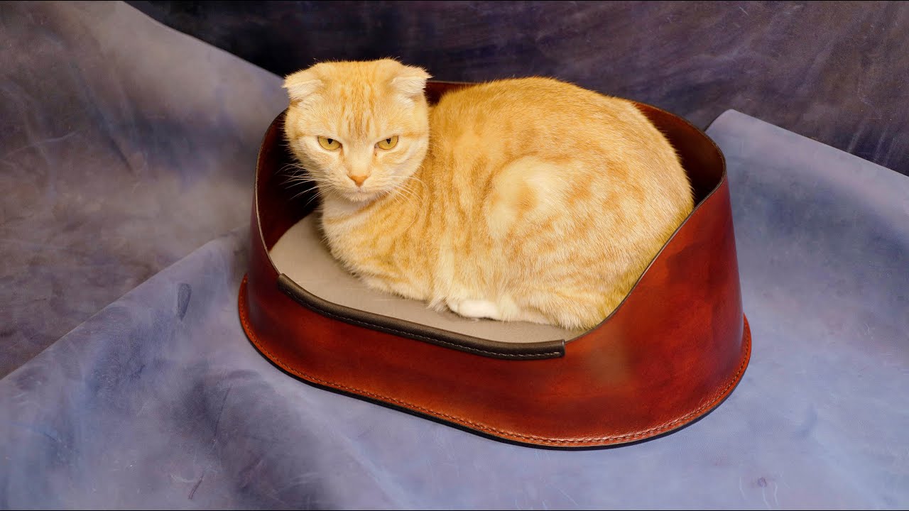 Cat bed How to make leather cat bed. YouTube