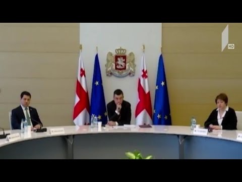 საკოორდინაციო საბჭოს სხდომა