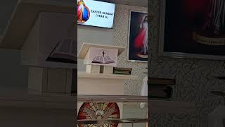 Live highlight!Easter Sunday Mass! Resurrection|#shorts #viral #easter