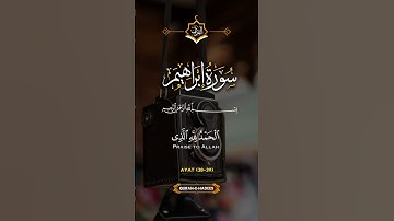 سورة إبراهيم 🤍🌴🤲#قرآن #quran_alkarim #قران_كريم #اكسبلور #explore
