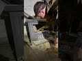 How A Professional Homeowner Lights A Wood Stove Shorts How A Professional Homeowner Lights A Wood Stove Shorts