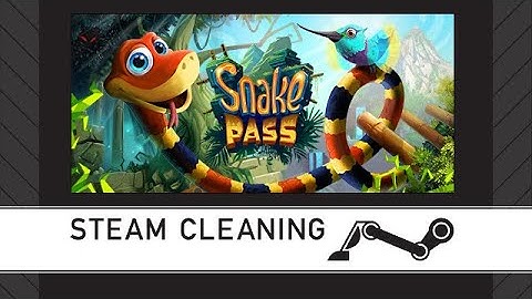 Steam Cleaning - Snake Pass