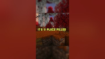 Custom biomes found on the Wavecraft SMP! #minecraft #minecraftserver #gaming  #mcservers