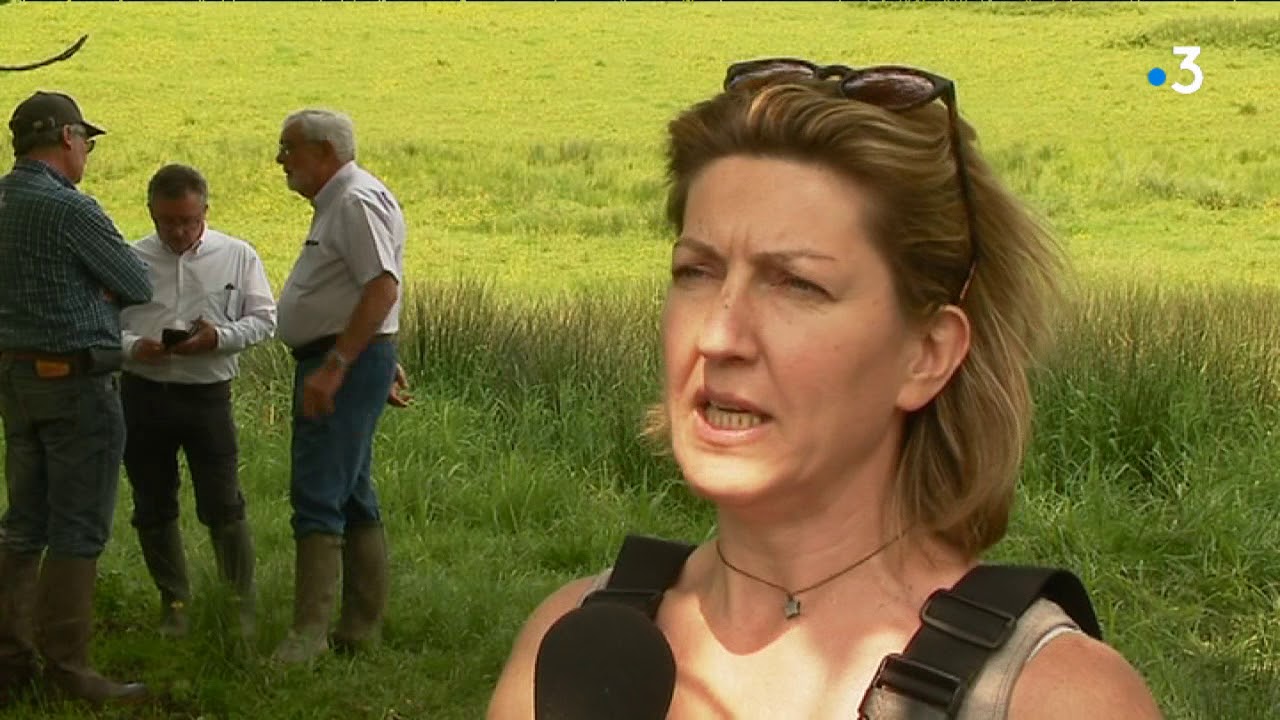 Une frayere a brochets a Saint Junien