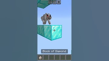 100 skeletons vs 1 wolf! surprising moment. #minecraft #shortsfeed