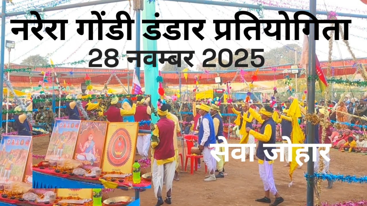 गोंडी डंडार डांस प्रतियोगिता आदिवासी नरेरा  28 नवंबर 2025 .like share subscribe