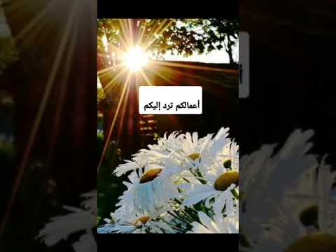 ياعبادي لو أن أولكم وآخركم وإنسكم وجنكم