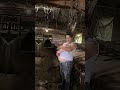 温柔的抱抱你 养猪人 三农养猪人 温柔的抱抱你 养猪人 三农养猪人