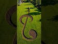 Satisfying Garden Transformation: Creative DIY Fish Pond Art🌿🌱