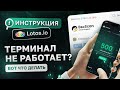 Терминал Lotos.io завис или выдает ошибку при загрузке? Инструкция на случай технических работ