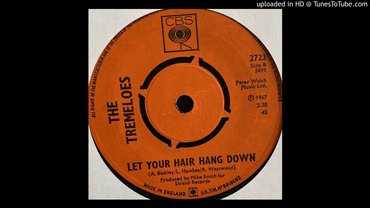 The Tremeloes -  Let Your Hair Hang Down (Cbs) 1966