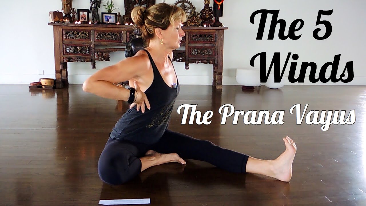 Shala Teaching: The Vayus Part 1 ashtanga mysore