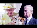 The sad reason Prince Andrew gifted the Queen with new puppies - Royal Insider