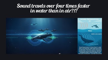 Fun Fact for Nov 11th 2025 Pt 2