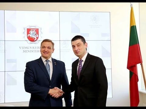 გიორგი გახარია ლიტვაში ოფიციალური ვიზიტის ფარგლებში ლიტვის შინაგან საქმეთა მინისტრს შეხვდა