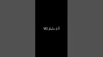 يا لَيتَها كانَتِ القاضِيَةَ || كروما قران كريم شاشة سوداء || احمد النفيس