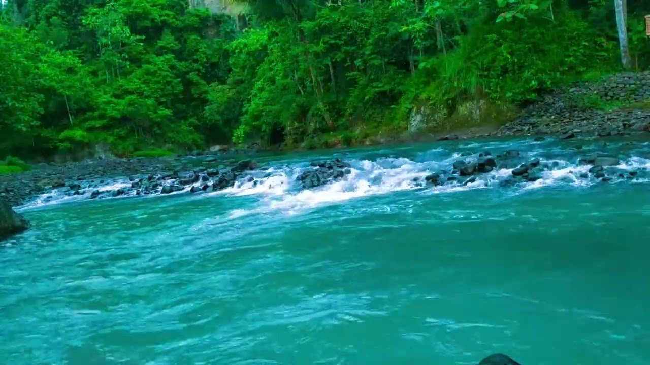 Sleep Soundly with Peaceful River Melody and Calm Water Sounds in Peaceful Forest