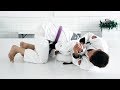 Rafael Mendes | Armbar + Crucifix Options Versus Single Leg | artofjiujitsu.com