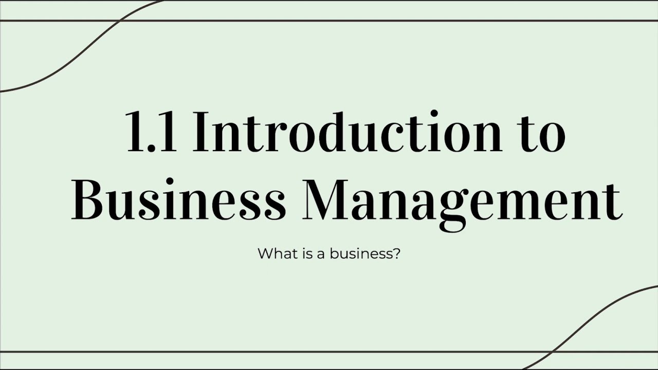 ib-lesson-what-is-business-unit-1-1-higher-standard-level