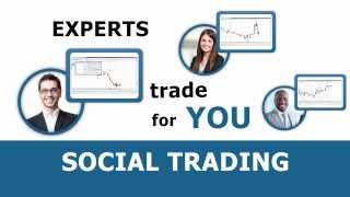 What is Social Trading? | tradimo - learn to trade Net Worth