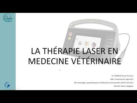 Vidéo: À quelle fréquence les injections de Depo-Medrol peuvent-elles être administrées à des chiens?