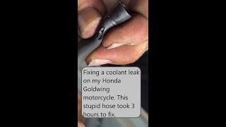Fixing a coolant leak on my Honda Goldwing motorcycle. #HandsomeOrHandy Fixing a coolant leak on my Honda Goldwing motorcycle. #HandsomeOrHandy