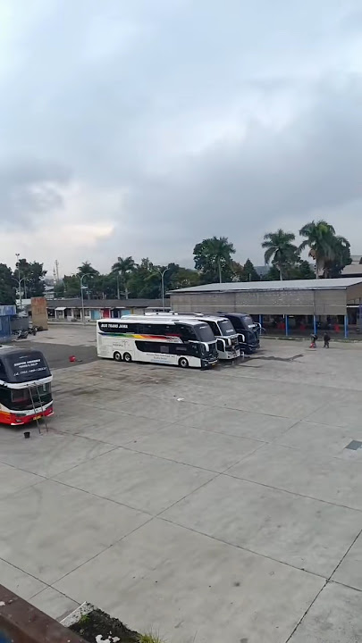 Story Wa Bus Mbois 30 Detik 😎🤟#adiputro #busmaniacomunity #storywa #fyp #edit #shorts