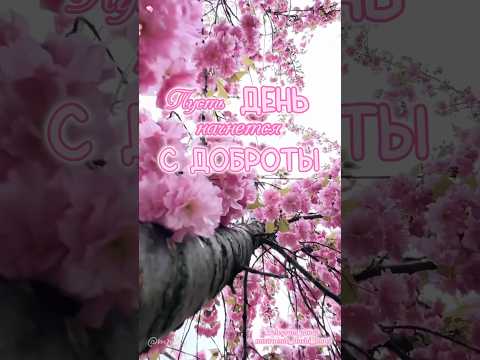 #музыкальнаяоткрытка #длявасдрузья #доброеутро #видеоролики #доброеутрооткрытки