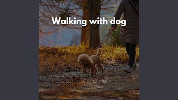 Scintillating Music for Forgetting Mirrors