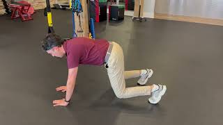 Bear Plank Shoulder Taps | Core and Shoulder Stability Exercise