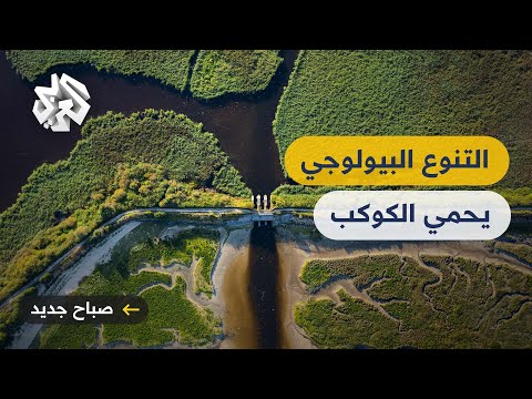التنوع البيولوجي خط الدفاع الأول في مواجهة التغيرات المناخية