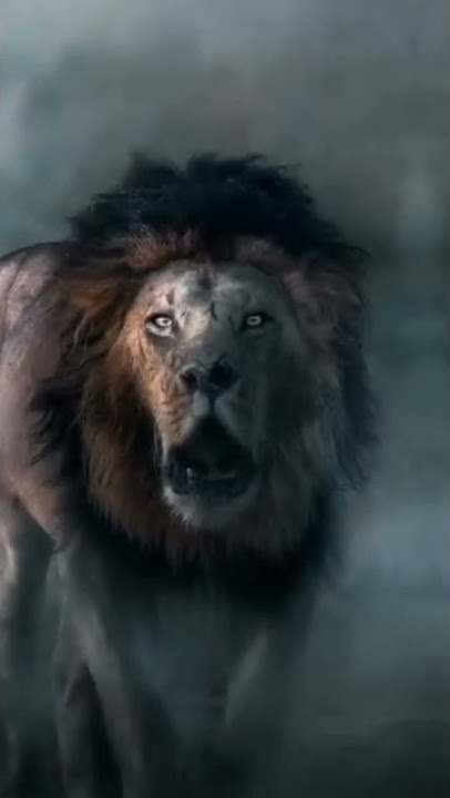 #animalslover #ringtone
