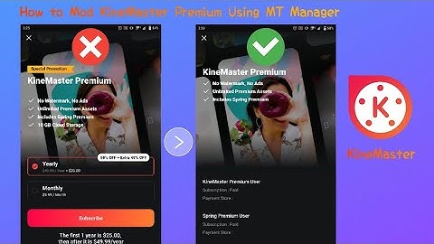 How to Remove a Purchase KineMaster Premium Using MT Manager