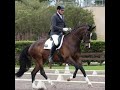 0731: Jim Collin LC - Successful Dressage Competitor, Specialising in Riding and Training Young...