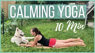 Yoga for CALM | 10 min STRETCH & RELAX Practice (with puppy!)
